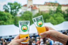 festivalminipivo2446