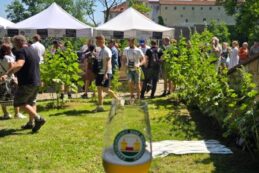 minipivo258