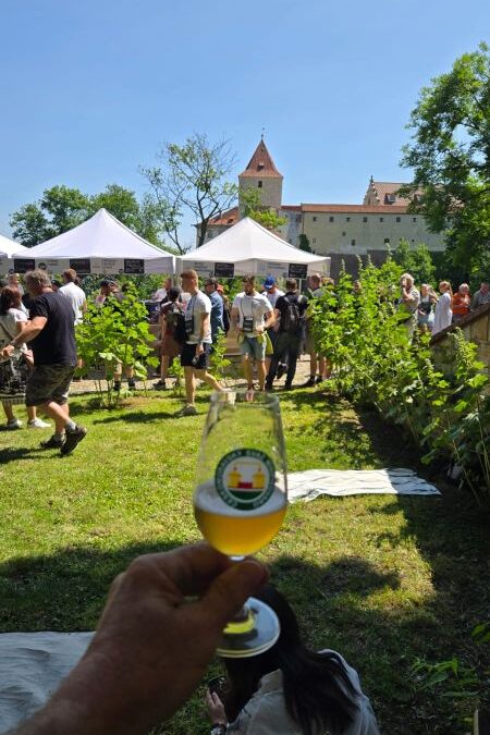 minipivo258